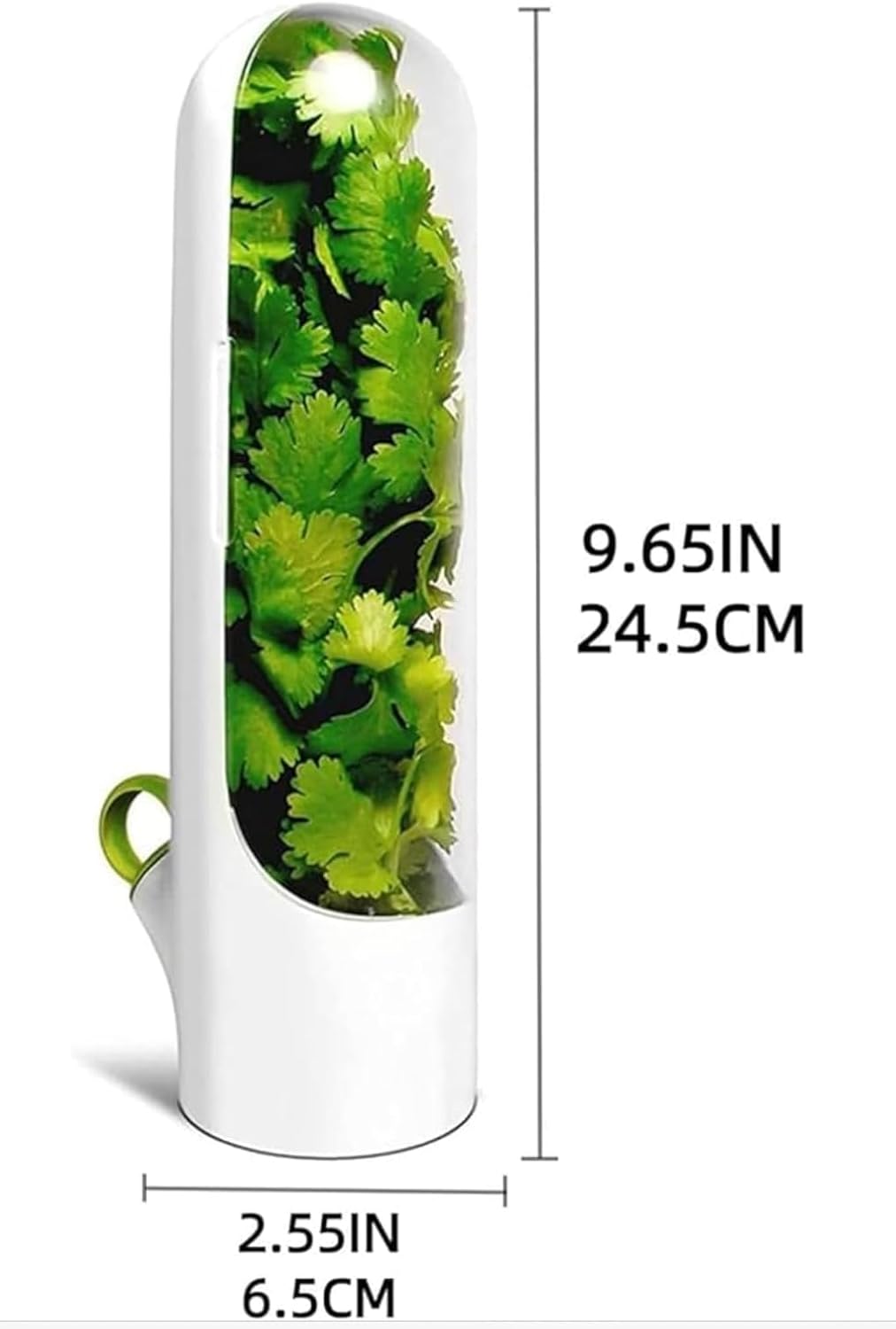 حافظة الخضرة